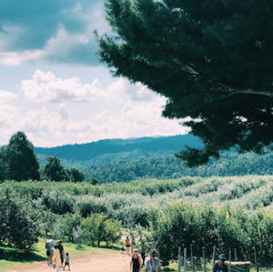 Meet your Posher, Ester